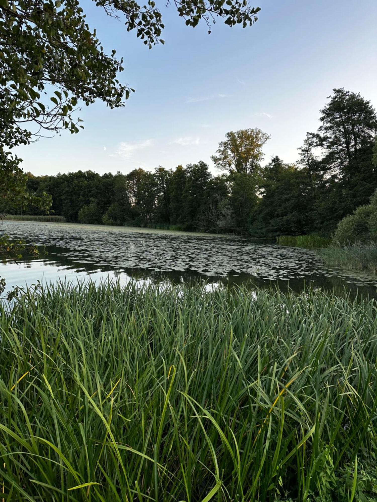 Apartament Vip Promenada Mrągowo